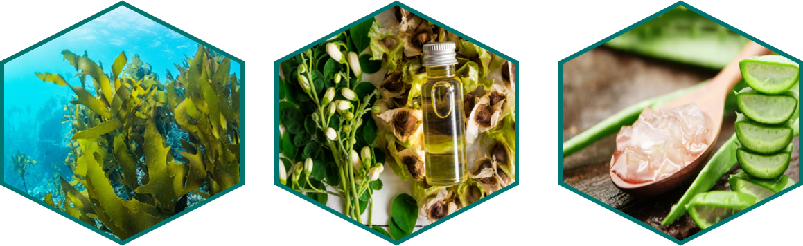 Thành phần chính của mặt nạ dưỡng ẩm axit hyaluronic